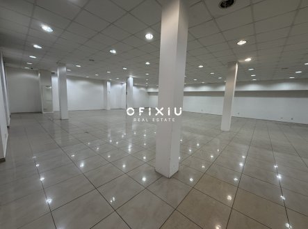 Pronájem obchodní prostory, 700 m²