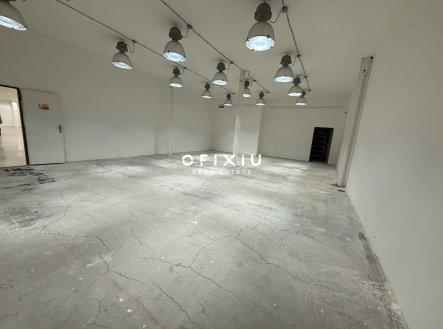Pronájem obchodní prostory, 700 m²
