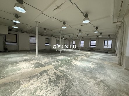 Pronájem obchodní prostory, 700 m²