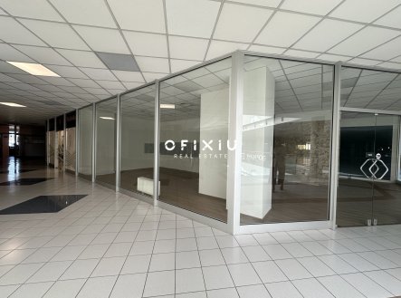 Pronájem obchodní prostory, 109 m²