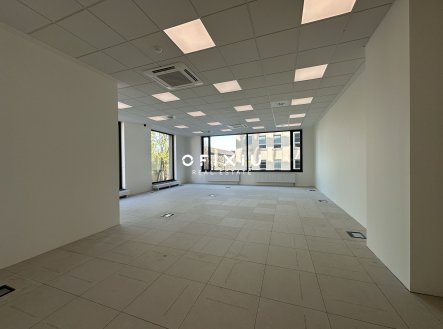 Pronájem kanceláře, 73 m²