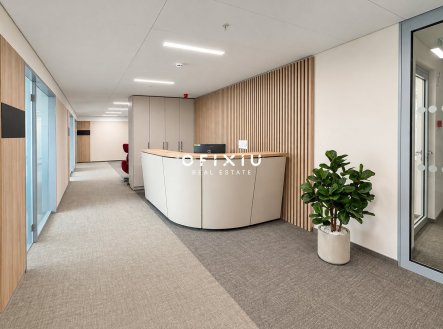 Pronájem kanceláře, 300 m²