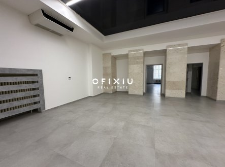Pronájem obchodní prostory, 233 m²