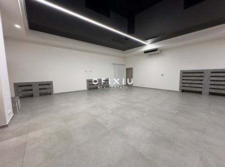 Pronájem obchodní prostory, 233 m²