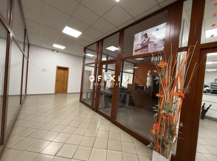 Pronájem obchodní prostory, 31 m²