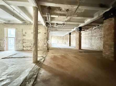 Pronájem obchodní prostory, 1 500 m²