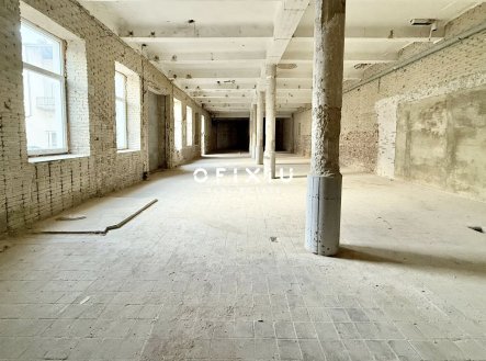 Pronájem obchodní prostory, 1 500 m²