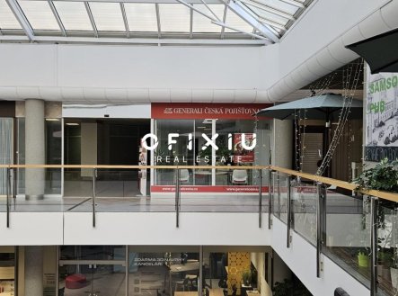 Pronájem obchodní prostory, 92 m²