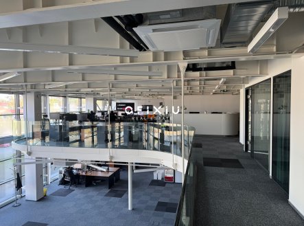 Pronájem kanceláře, 300 m²