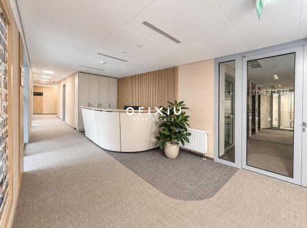 Pronájem kanceláře, 750 m²
