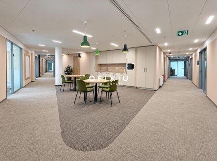 Pronájem kanceláře, 350 m²