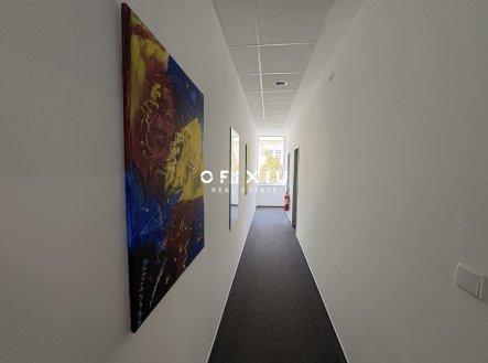 Pronájem kanceláře, 177 m²