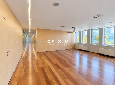 Pronájem kanceláře, 300 m²