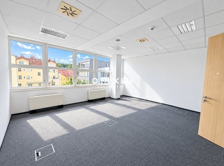 Pronájem kanceláře, 300 m²