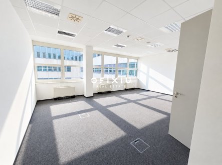 Pronájem kanceláře, 300 m²