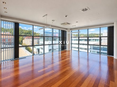 Pronájem kanceláře, 750 m²