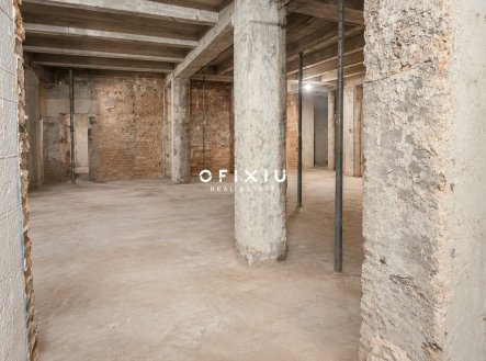 Pronájem obchodní prostory, 66 m²