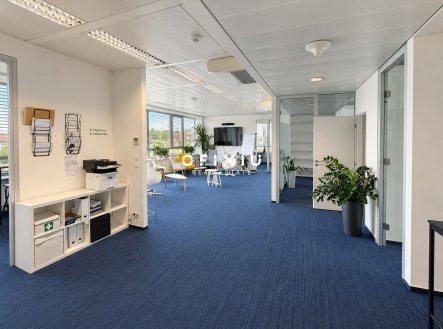 Pronájem kanceláře, 259 m²
