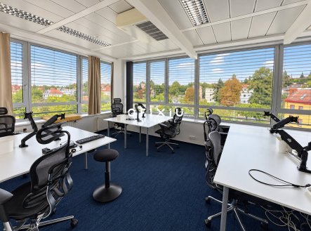 Pronájem kanceláře, 259 m²