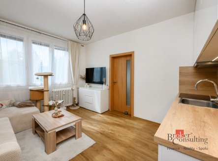 Pronájem bytu, 1+1, 36 m²