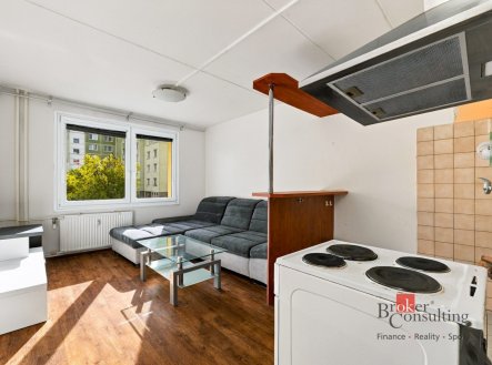 Prodej bytu, 1+1, 48 m²