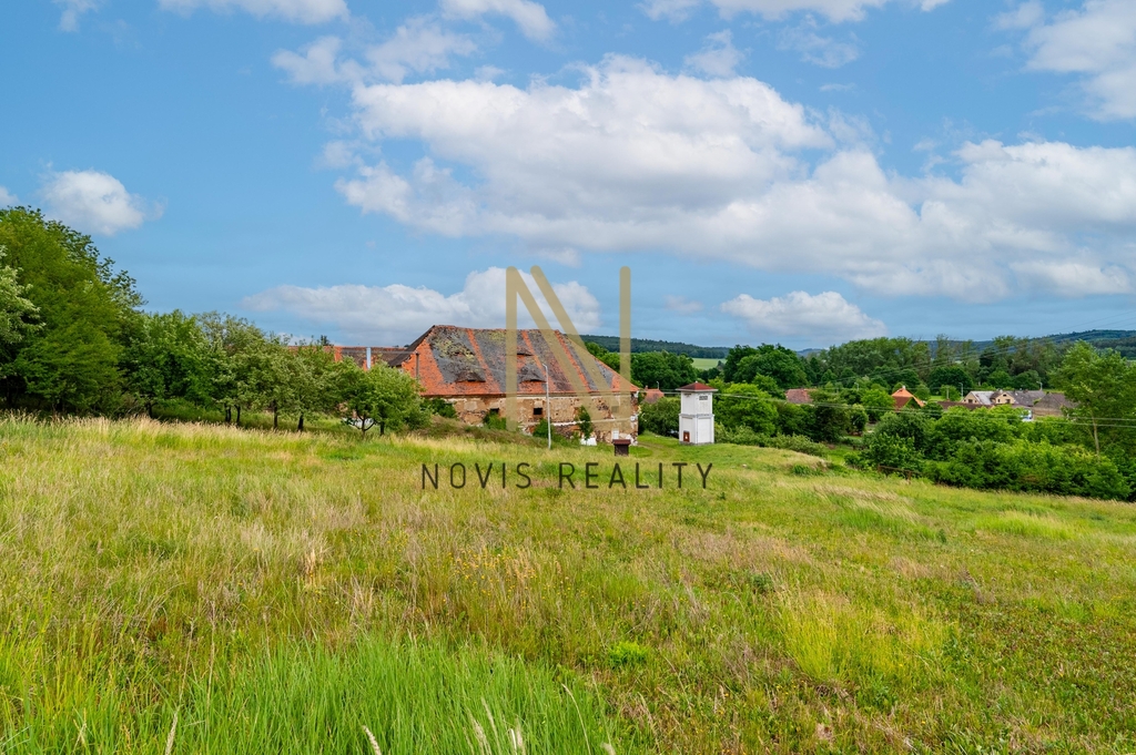 40.jpg