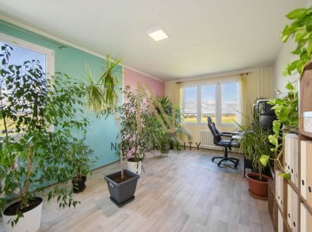 Prodej bytu, 3+1, 114 m²