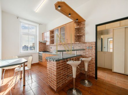 Pronájem bytu, 1+1, 45 m²