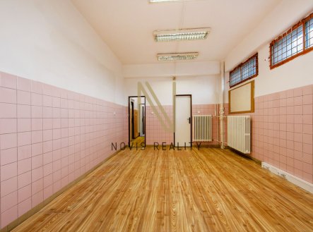 Pronájem skladu, 43 m²