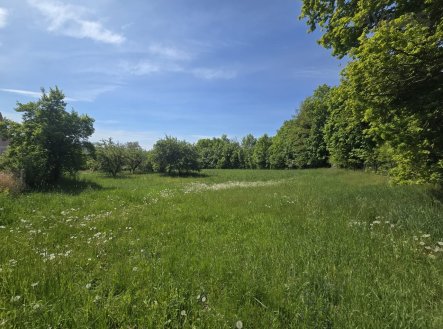 Prodej pozemku pro bydlení, 731 m²