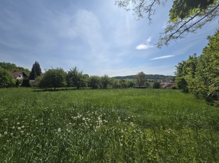Prodej pozemku pro bydlení, 731 m²