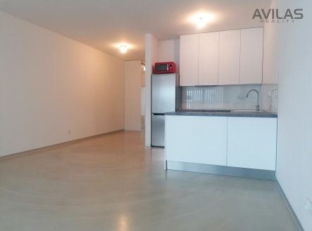Pronájem bytu, 2+kk, 64 m²