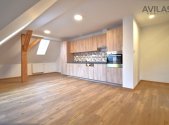 Pronájem bytu, 1+kk, 45 m²