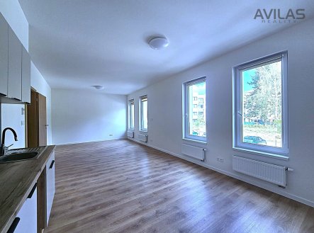 Prodej bytu, 1+kk, 42 m²