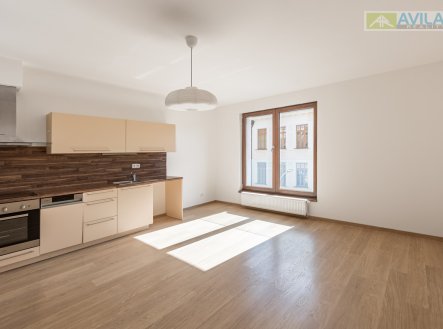 Pronájem bytu, 2+kk, 42 m²