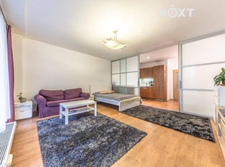 Pronájem bytu, 1+1, 64 m²