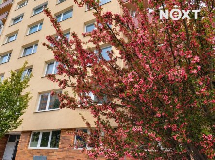 Prodej bytu, 3+1, 66 m²