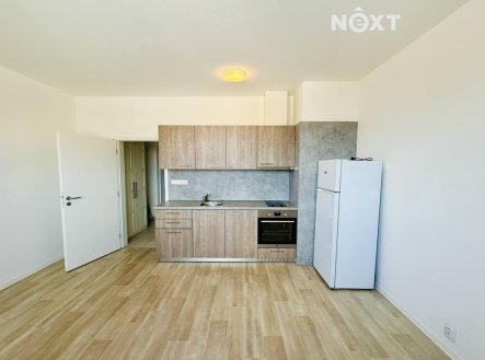Pronájem bytu, 1+kk, 27 m²