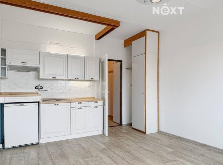 Pronájem bytu, 1+kk, 22 m²