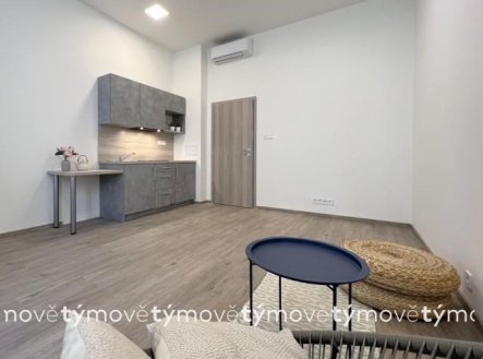 Pronájem bytu, 1+kk, 31 m²