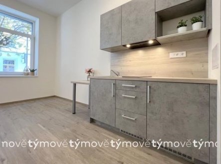 Pronájem bytu, 1+kk, 31 m²