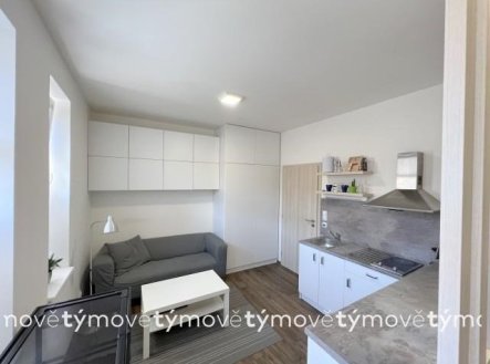 Pronájem bytu, 1+kk, 27 m² obrázek