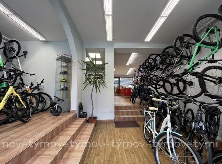 Prodej domu/vily, 225 m²