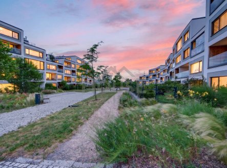 IMG_0831#twilight | Prodej bytu, 3+kk, 71 m²