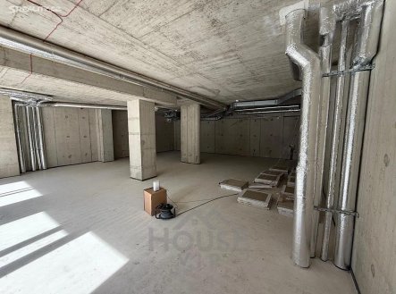 Prodej obchodní prostory, 113 m²