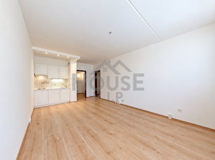 Prodej bytu, 1+kk, 29 m²