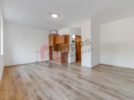 Pronájem bytu, 3+kk, 60 m²