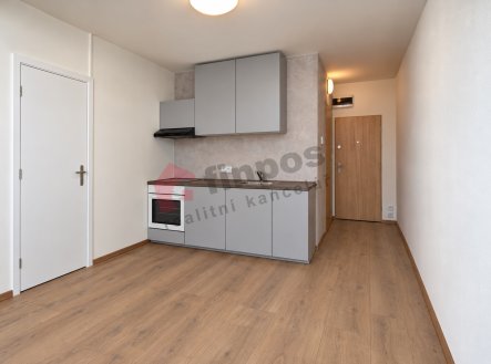 Pronájem bytu, 1+1, 36 m² obrázek