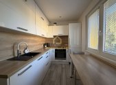 Pronájem bytu, 3+1, 55 m²