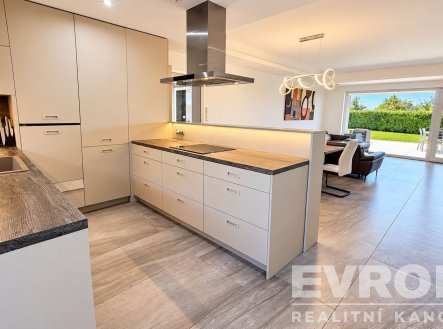 Pronájem domu/vily, 376 m²